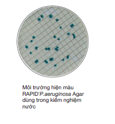 Môi trường hiện màu RAPID'P.aeruginosa Agar dùng trong kiểm nghiệm nước